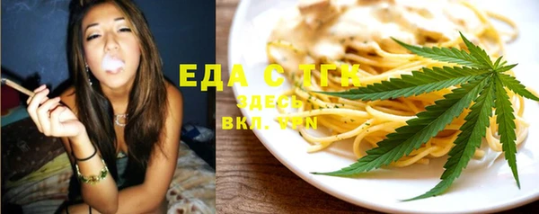 индика Абаза