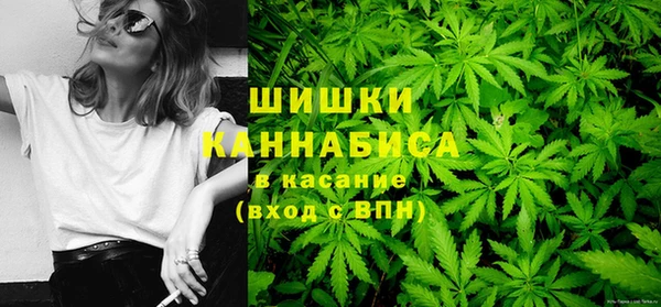 индика Абаза