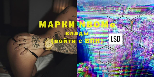 индика Абаза