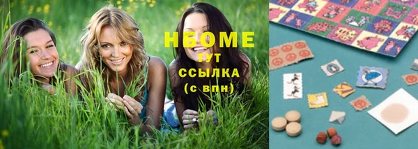 индика Абаза