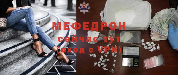 индика Абаза