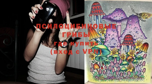 индика Абаза