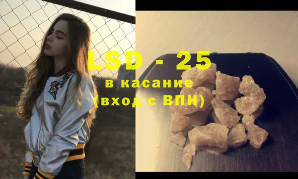 индика Абаза