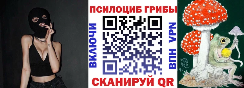 где купить KRAKEN рабочий сайт Псилоцибиновые грибы Psilocybe Серпухов